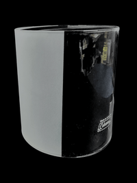 220 Half Frosted Globe - G302