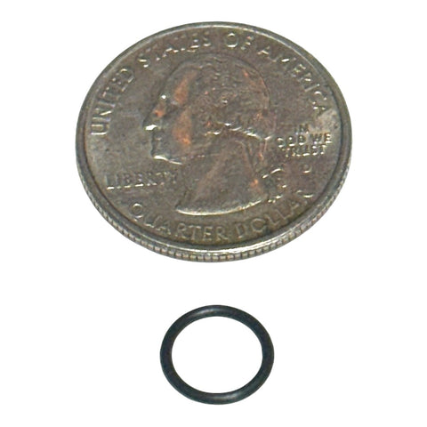 O-Ring - S21