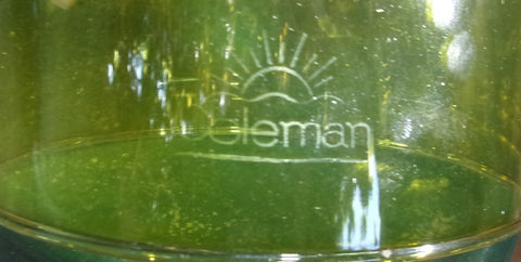 220 Globe Amber Sunrise Logo USA