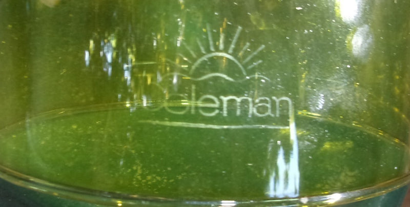 220 Globe Amber Sunrise Logo USA