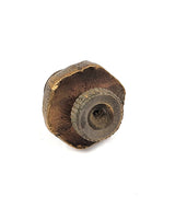 20220408_153431.jpg