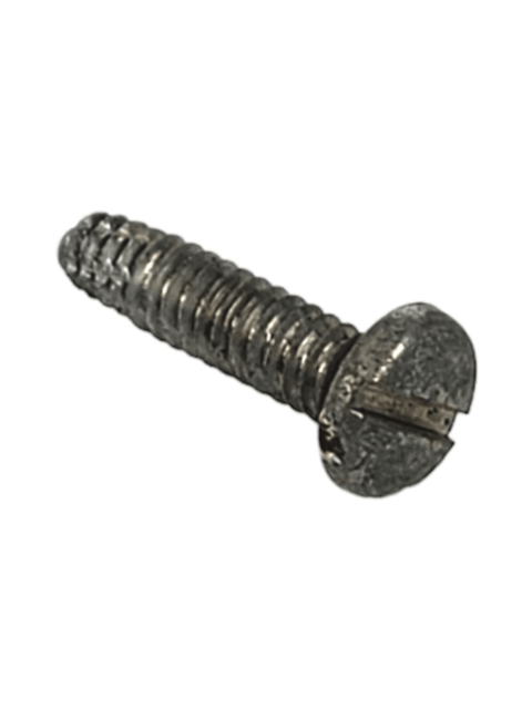 Screw