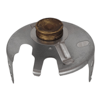 Shield With Mantle Holder