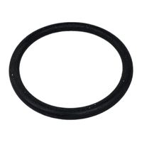 Catalytic Heater O-Ring, NOS - E1681