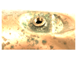 IMG_0368-PhotoRoom.png