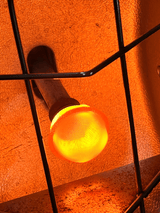 IMG_1085.png