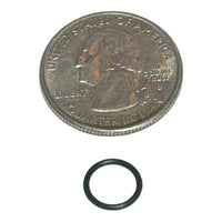 O-Ring - S21
