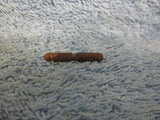 IMG_8055.JPG
