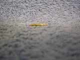 p1010019-27.jpg