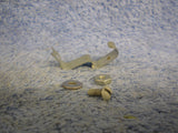 p1010024-38.jpg
