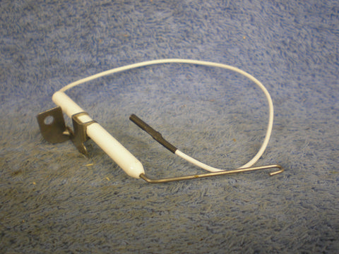 Electrode with Wire