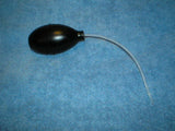 p3090050.jpg